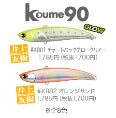 H_koume90