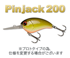 Pinjack