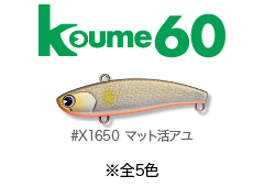 Koume60