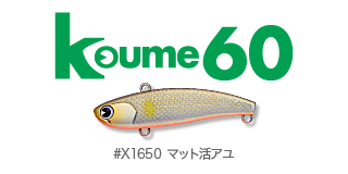 Koume60