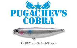 デイ干潟_pugachvs_cobra