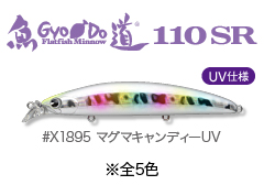 Hirame_gyodo110sr