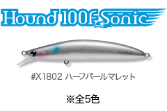 Day_hound100fsonic