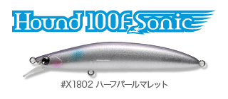 デイ干潟_hound100fsonic